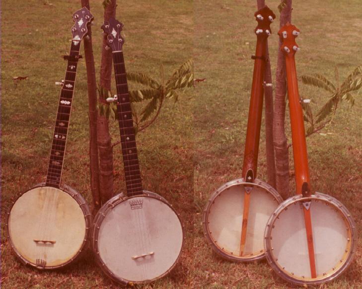 lyon and healy banjo mandolin