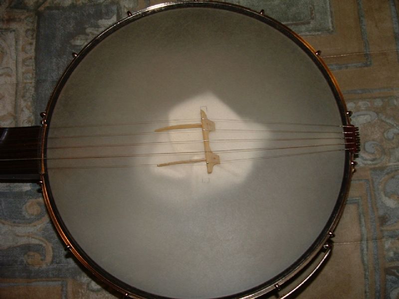 seeger style banjo