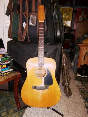 fender gemini ii 12 string