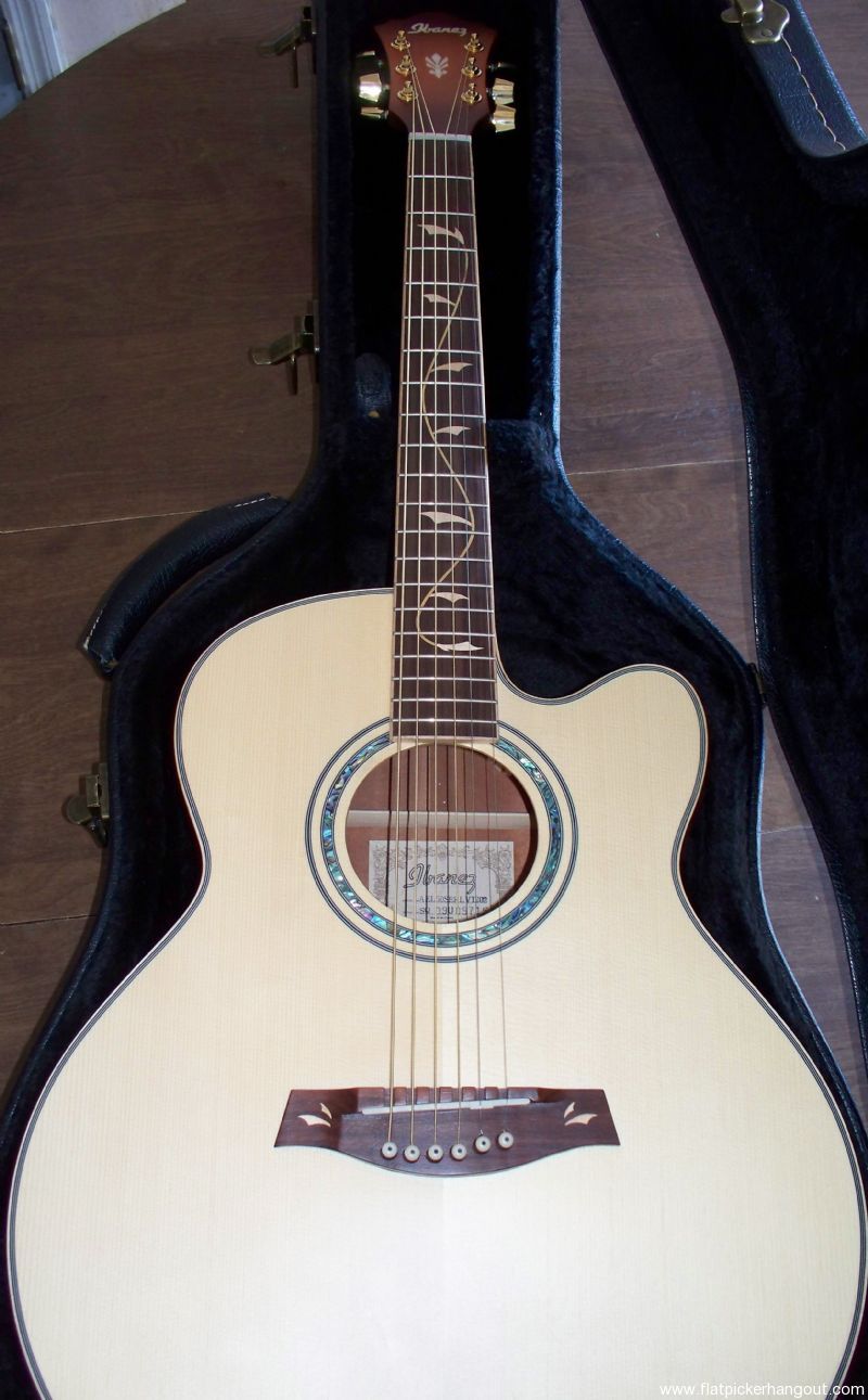 ibanez ael50serlv acoustic electric guitar